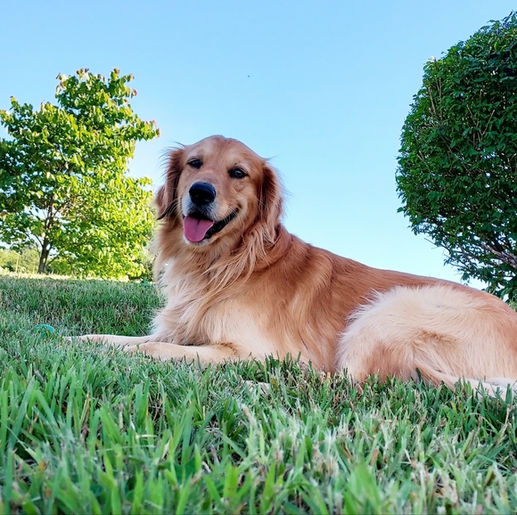 Meet your Posher, Lisa - Picture 2 of 11